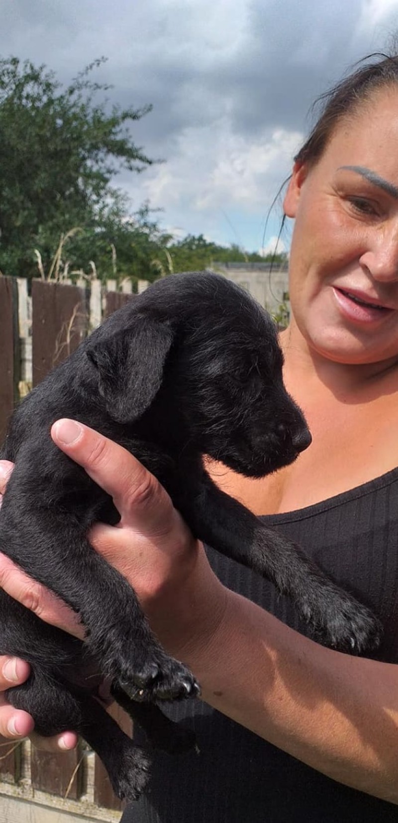 Other image for Think of the consequences  urges grieving pet owner